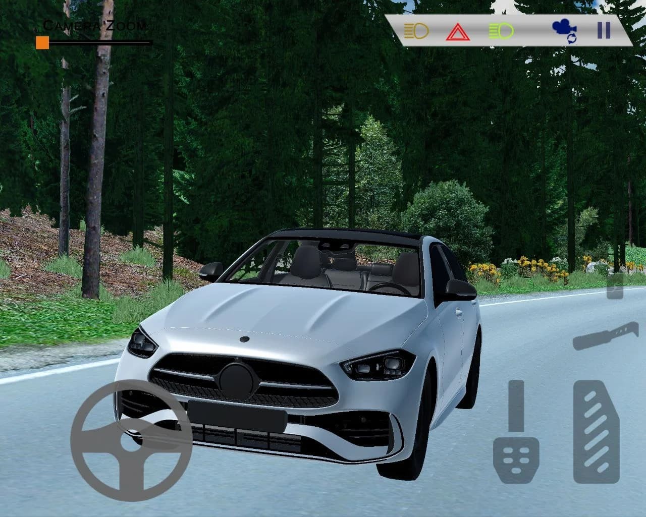 village car multiplayer