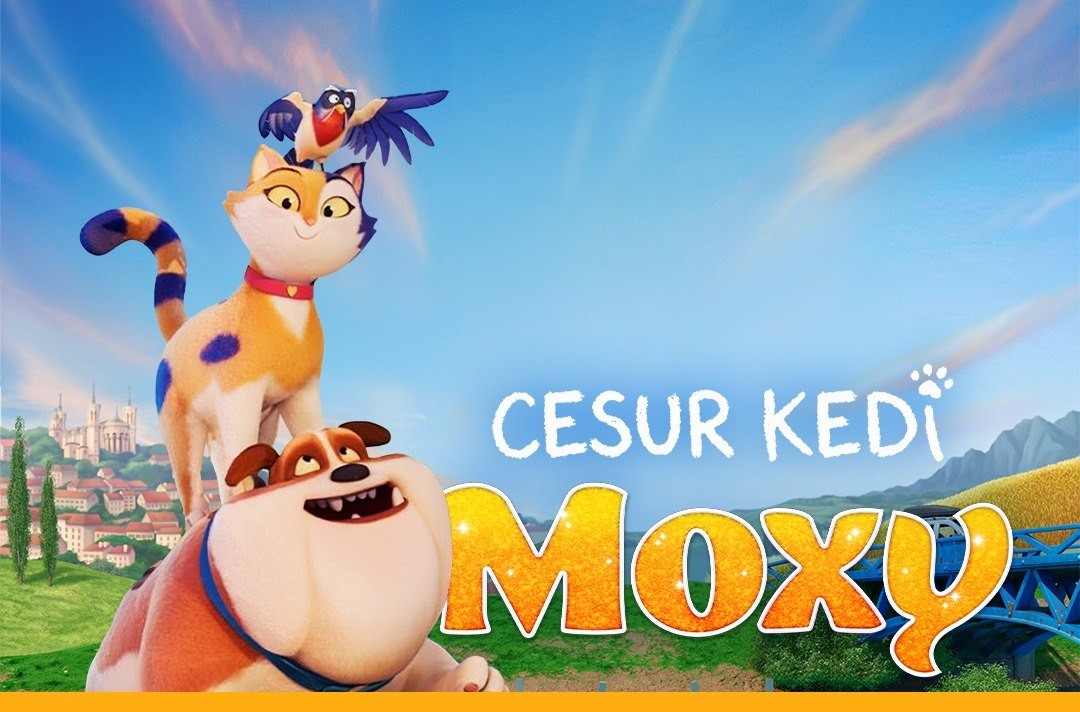 Cesur Kedi Moxy | Biletler Benden